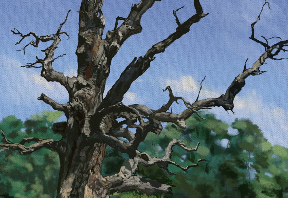 Detail of the above tree.