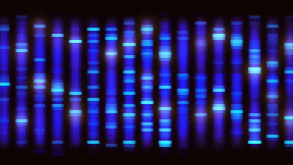 Director, NIH Intramural Sequencing Center