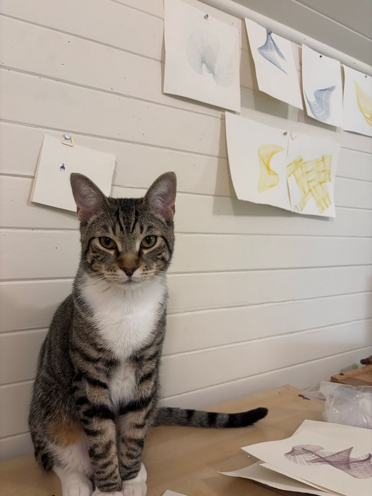 Tabby cat with gigantic ears sits in front of wall with letterpress on paper works in yellow, mid blue, and pale blue (swirling and floating shapes but text illegible)