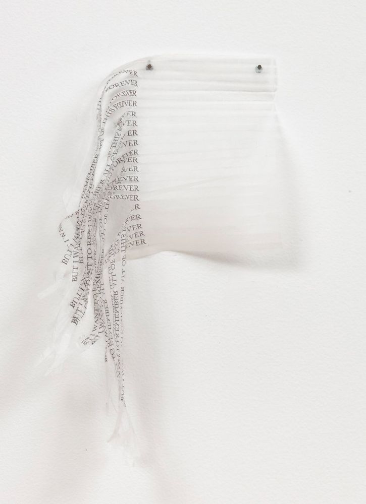 White paper with black text, paper is shredded into pieces with one line of text on each. Shredded but cover each other and each reads “but I want to remember all of this forever”