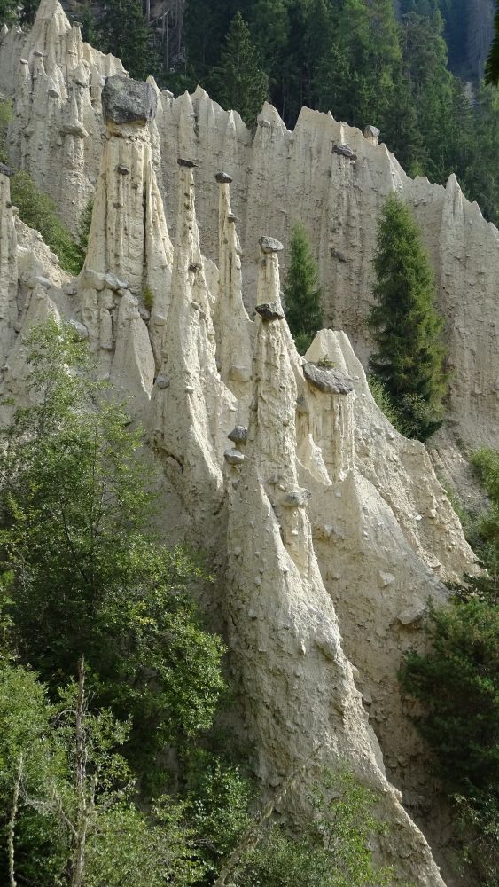 Das Bild zeigt keilförmige, helle Felsformationen, auf deren Spitze jeweils ein dunkler Fels ruht. Rundum stehen Bäume, überwiegend Fichten. 