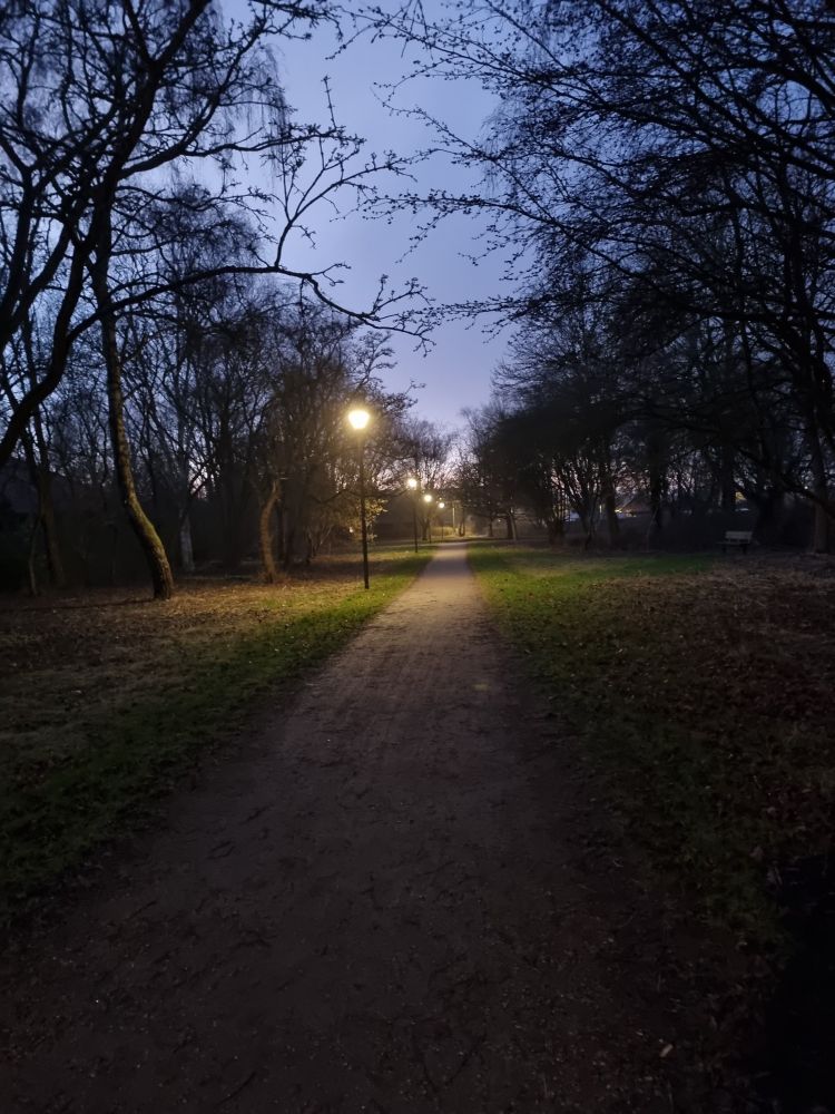 A path in the park. Still dusk.