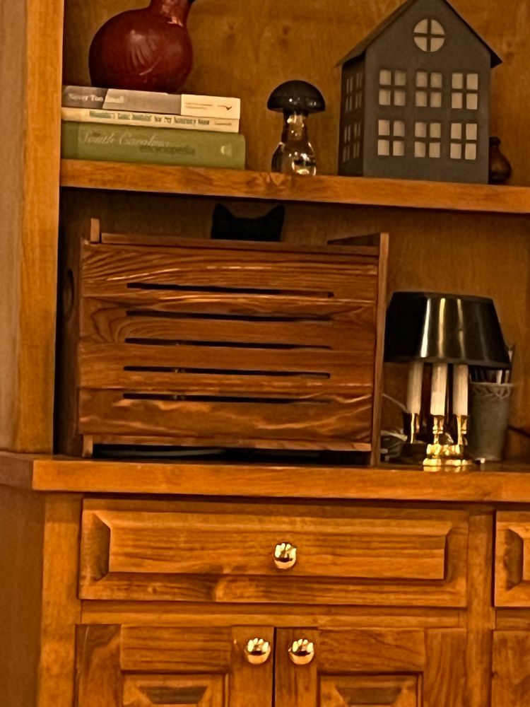 The top of a cat’s ears are seen sticking up from behind a box on a shelf. 