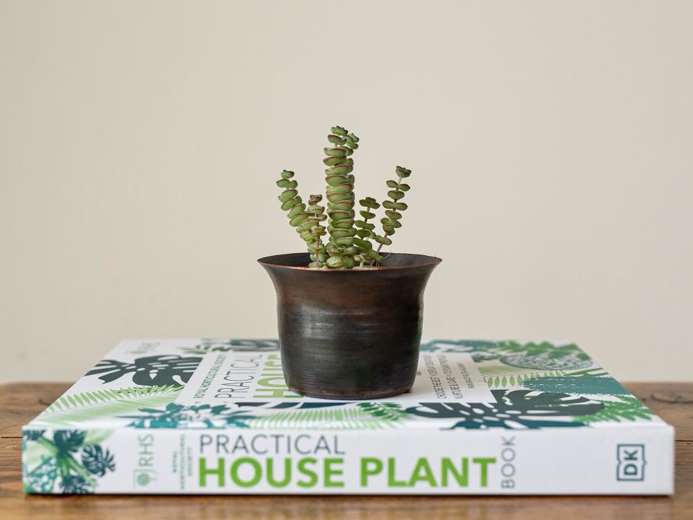 Metal spinning copper plant pot