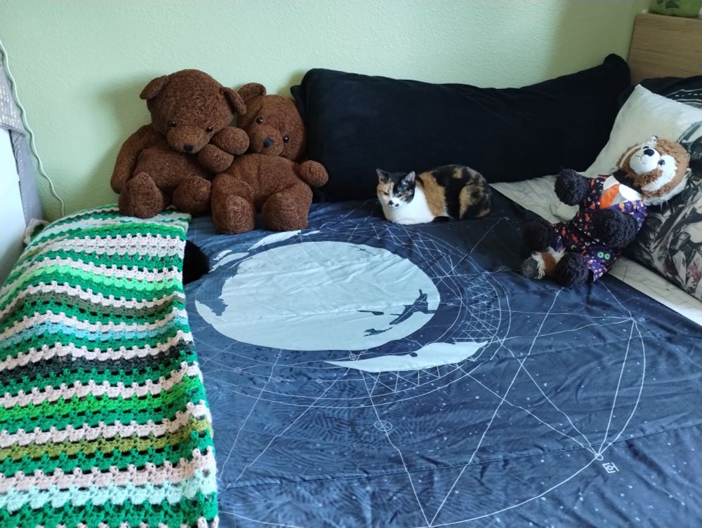 There are two cats in this picture, a calico (Lily) and the tail of a black cat (Vergil).