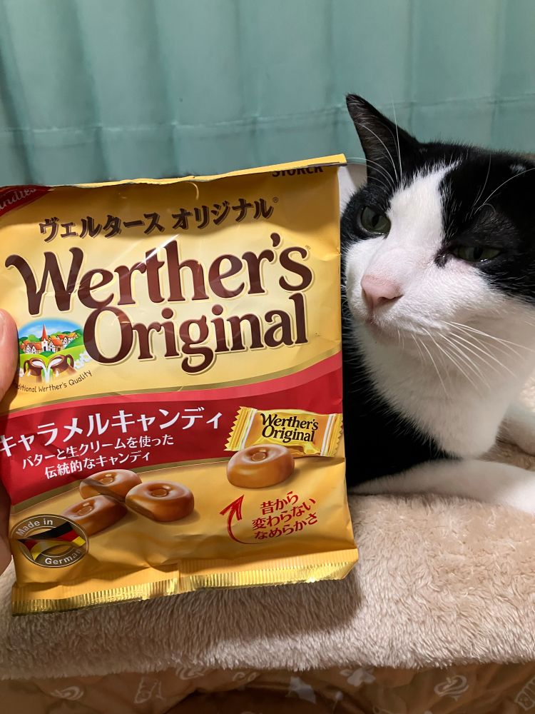 ヴェルタースオリジナルと、その横に猫さん。