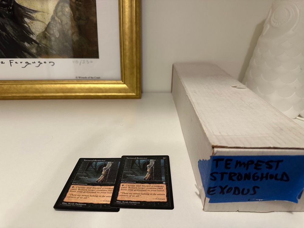 two copies of a magic the gathering card worth a few bucks next to a paper longbox 