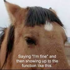 A horse with short baby bangs, white text reads “saying “I’m fine” and then showing up to the function like this. Meme originally shared Youngmi Meyer. 