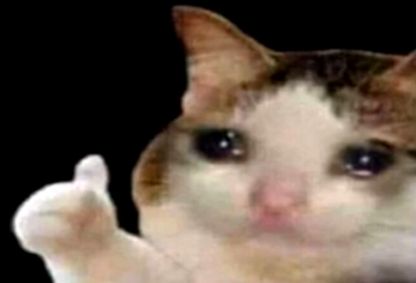 Sad cat giving a trying and wholesome thumbs up. 