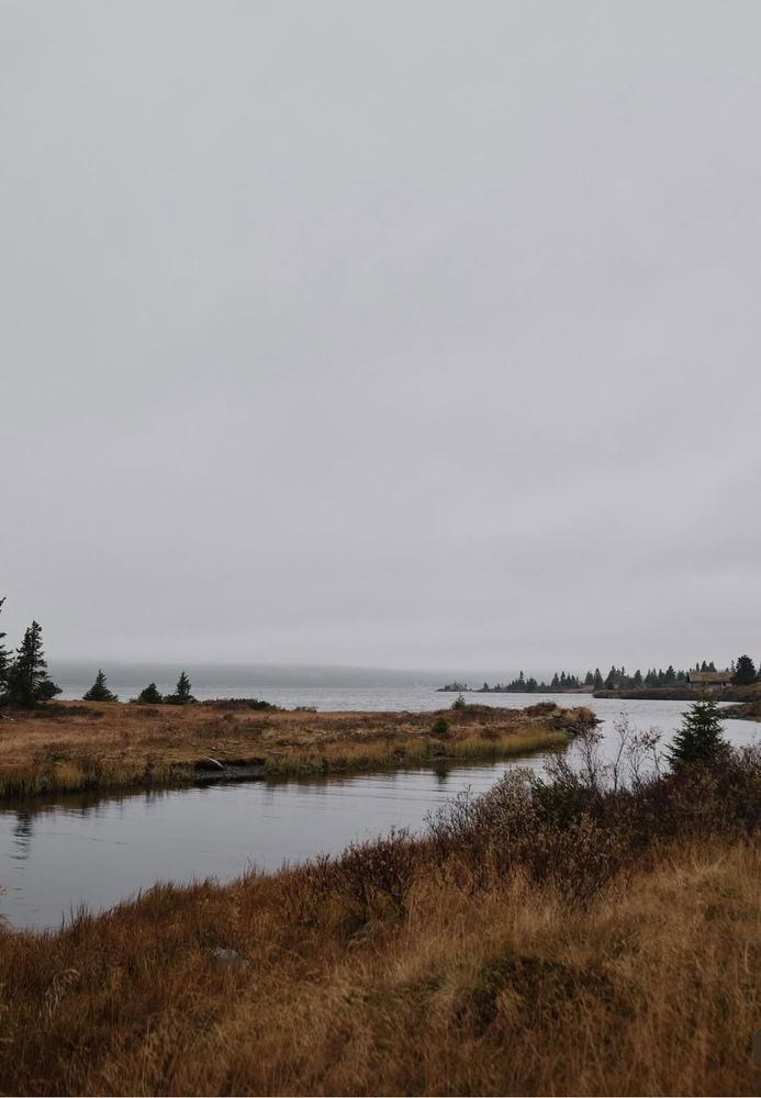 A canal or broad stream leading through wetlands towards a large body of water.