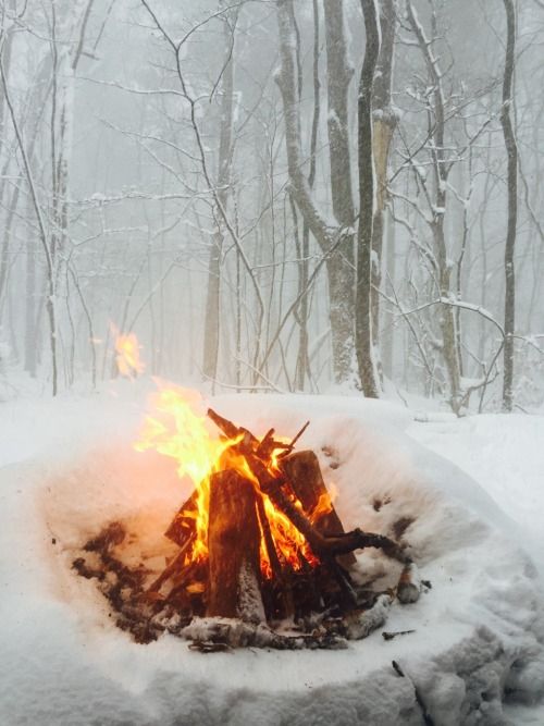 A bonfire burning briskly in a snowbank with a snowy woodland behind.