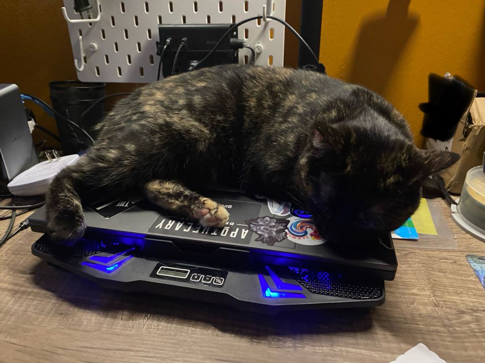 A pic of a tortie, Fiddle, sleeping on a charging laptop, on a somewhat messy but far cleaner desk than it was a few hours earlier. Said desk is far messier now, but the viewer wouldn’t know it. 