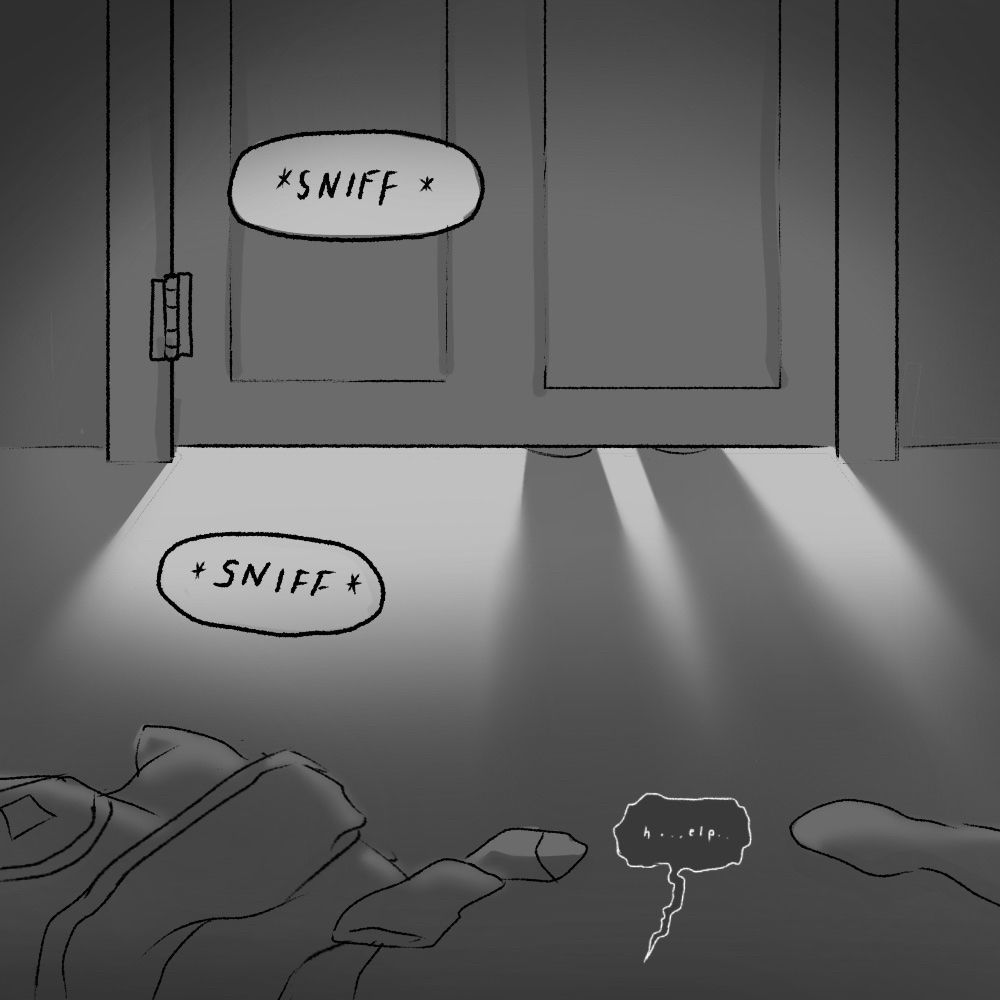 The view shifts to the inside of the room that Fig is standing outside of. We can hear Fig crying, and the person in the room tries again to call for help.