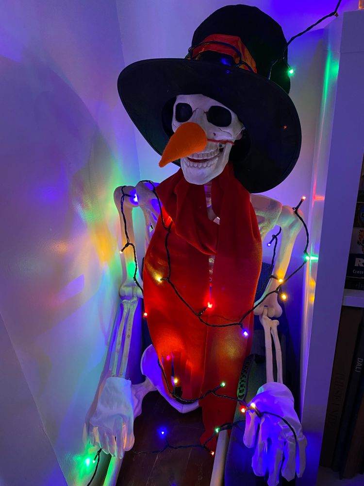 A photo of a plastic Halloween skeleton dressed in a black top hat, red scarf, white gloves, with a carrot nose. Also wrapped in festive multicolored string lights