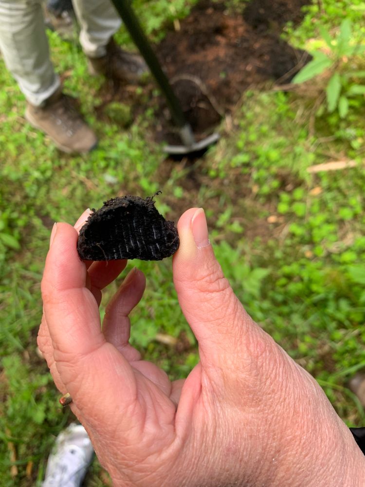 a piece of charcoal