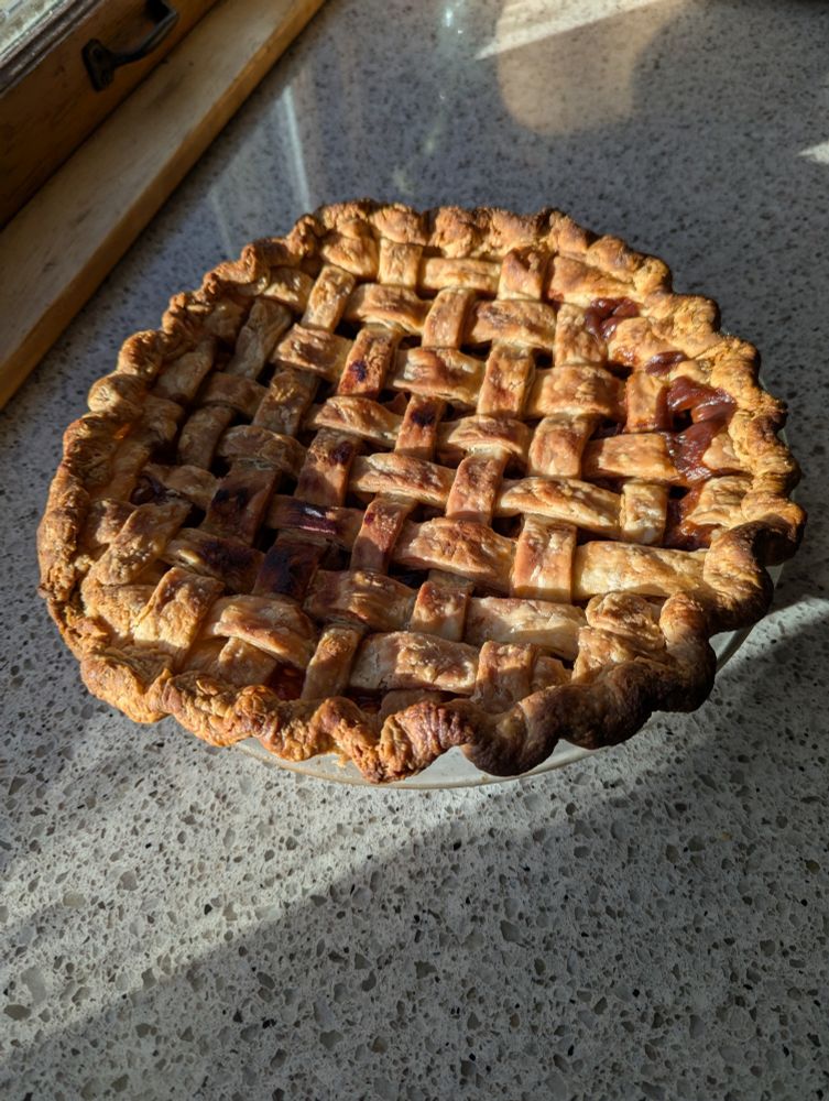 Apple pie with lattice top crust sitting in the sun on a kitchen counter.