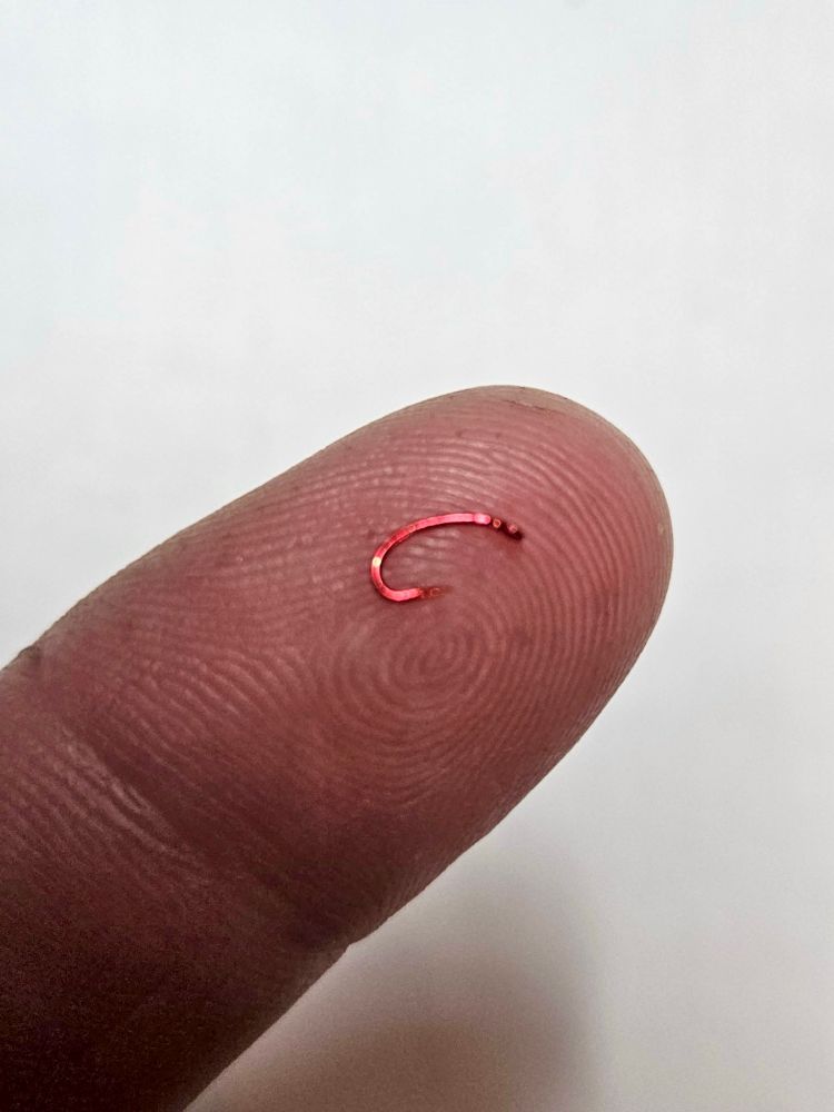 Very tiny red metal fishing hook on the tip of someone’s finger to show how small it is.  Maybe one quarter of an inch.