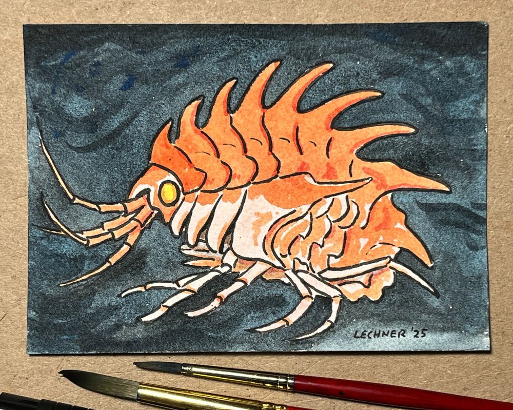 Ink and watercolor drawing of a crustacean that looks like a cross between a shrimp and an alien dinosaur, with a segmented body, orange spikes on its back, lots of legs, and appendages coming from its head. 