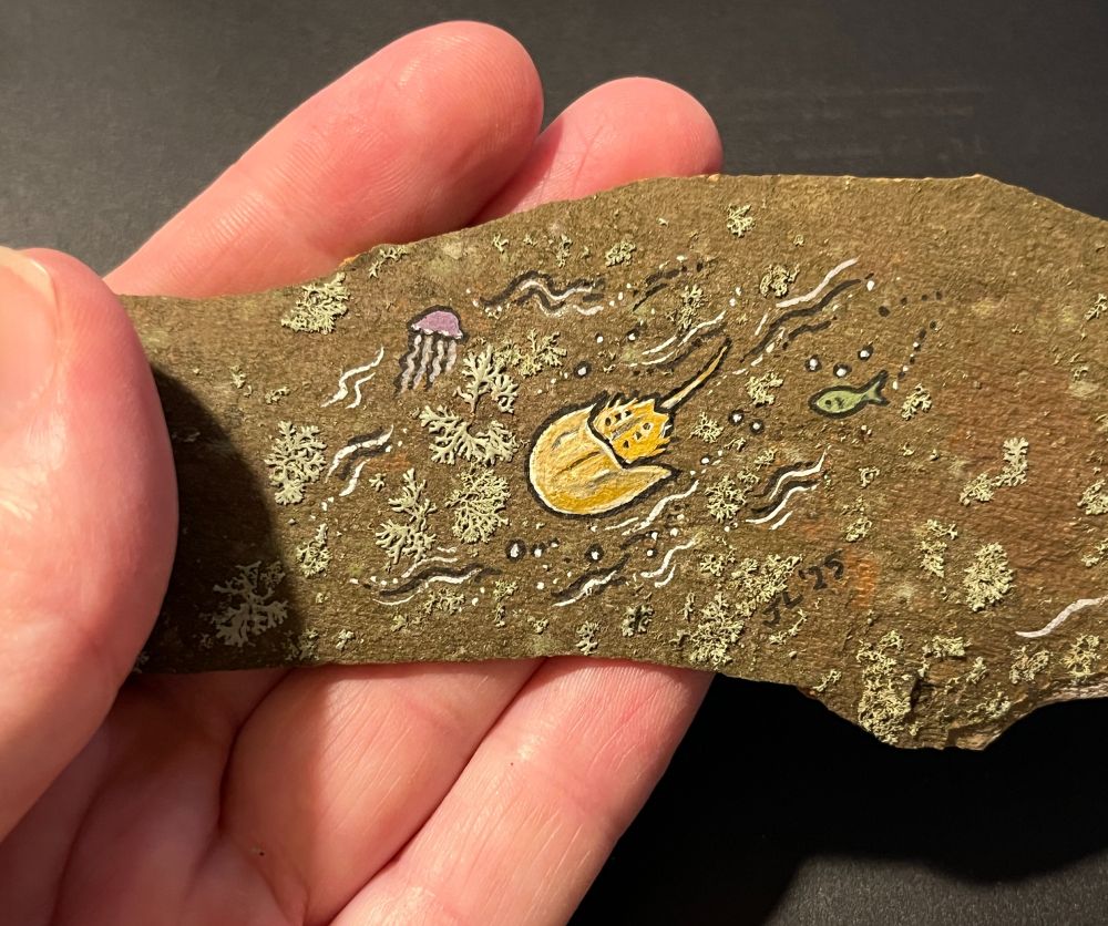 Photograph of a hand holding a small piece of tree bark, on which is painted a tiny horseshoe crab and other sea creatures admid the actual algae growing on the bark. 