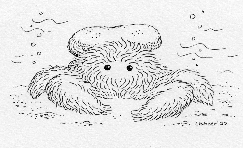 Ink drawing of a fluffy crab wearing a sponge on its head.