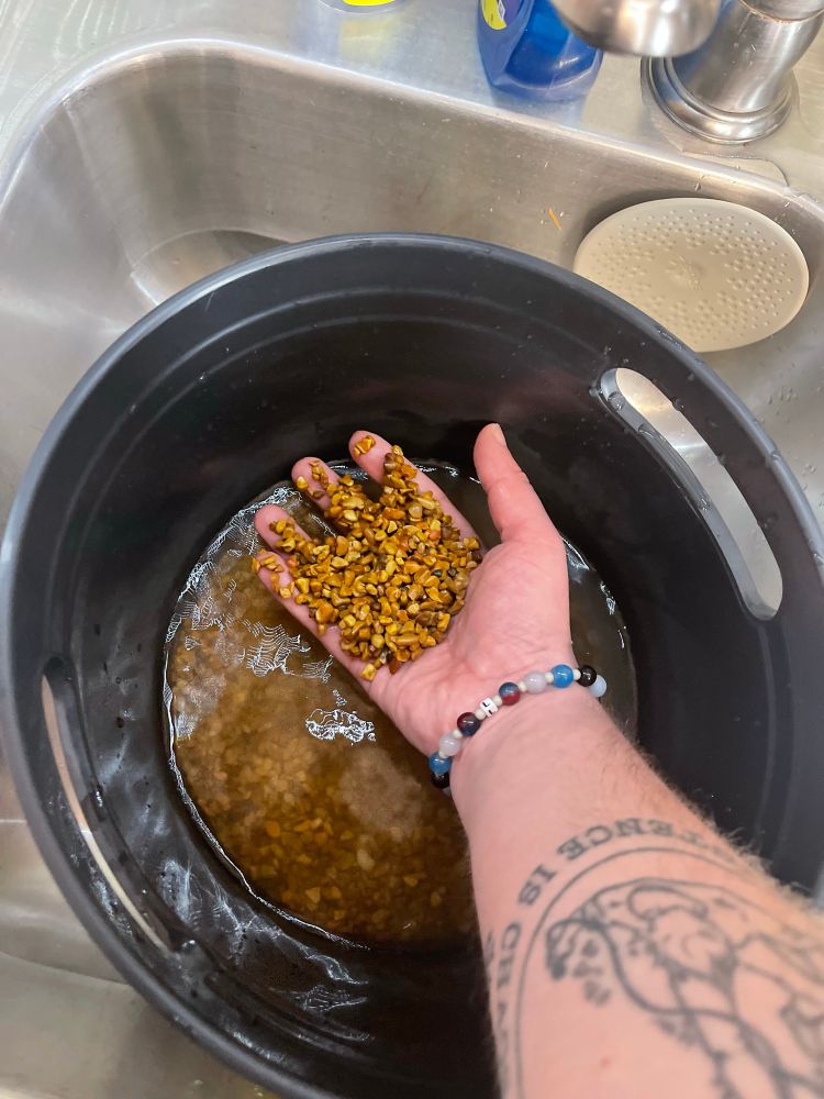 a bucket filled with water and aquarium gravel submerged into it. a hand with a handful of gravel hovers above the bucket just above the water