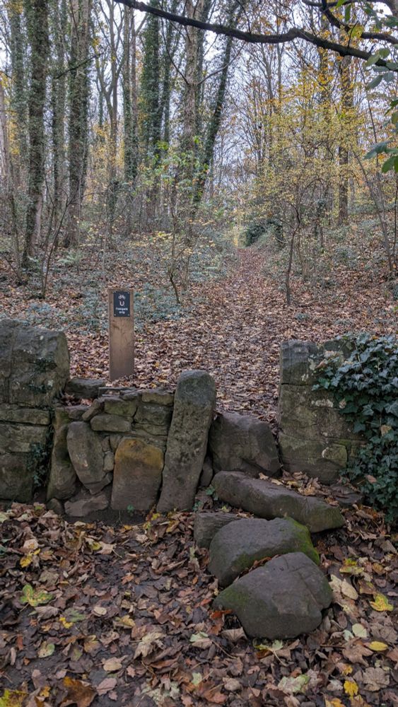 A chonky style stile 😁