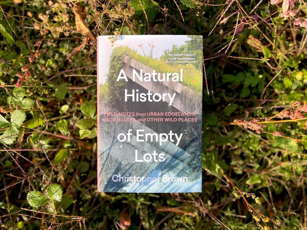 A natural history of empty lots by Christopher Brown Brown