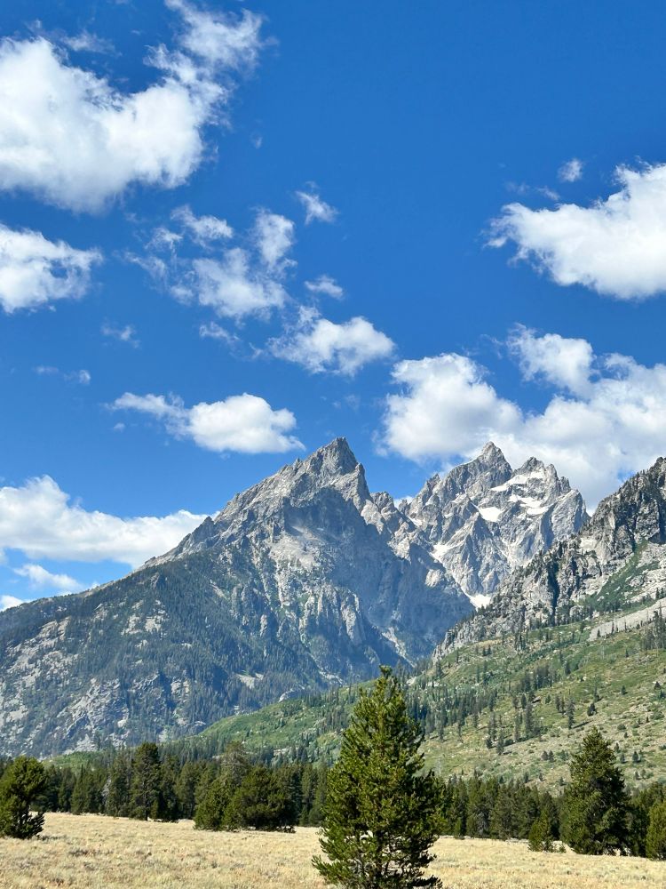 The Tetons, all craggy and majestic and super cool. Mountains are awesome. 