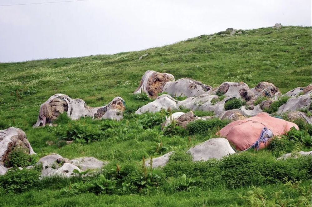 The decayed remains of a giant knitted sculpture on a grassy mountainside