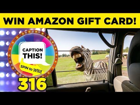 WIN Amazon Gift Card - Caption This & Spin to Win: Zebra Biting Car Window # 316
