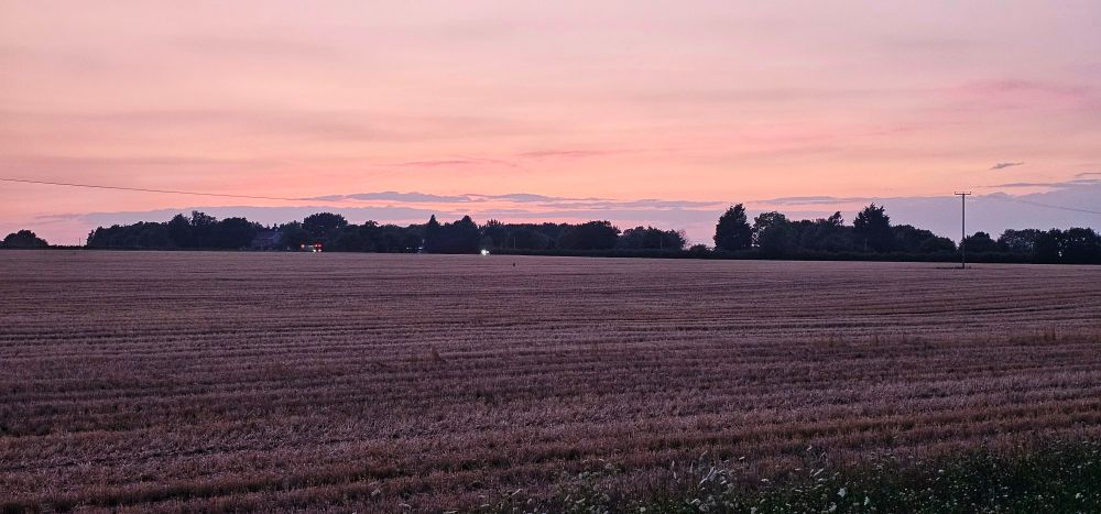 Norfolk countryside at dusk. 