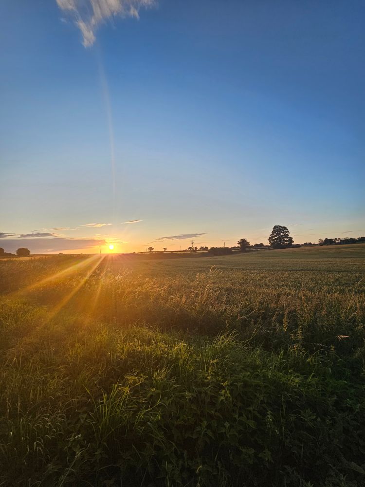A photo of tonight's sunset. 