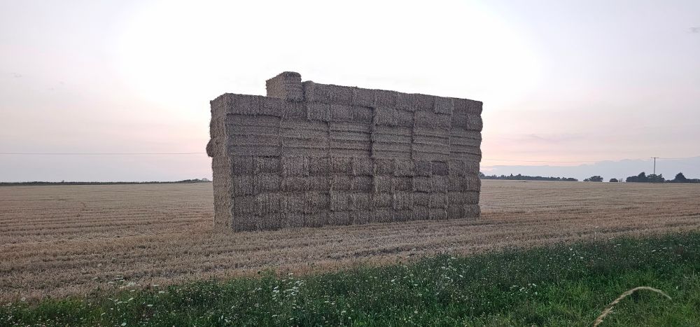 A photo of a haystack.