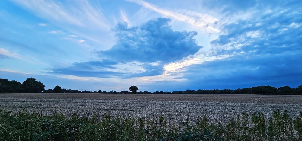 A photo of the clouds this evening. 