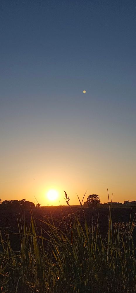 A colour photo of tonight's sunset. 