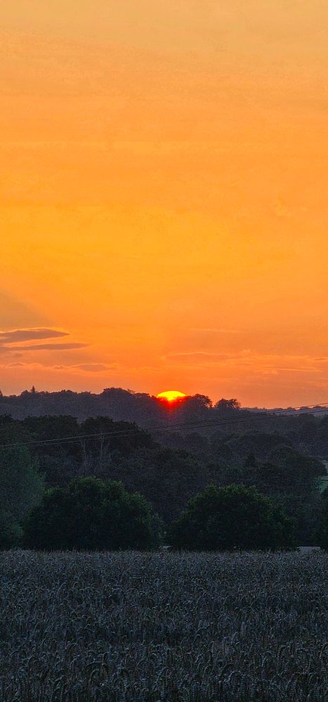 Tonight's sunset photo. 