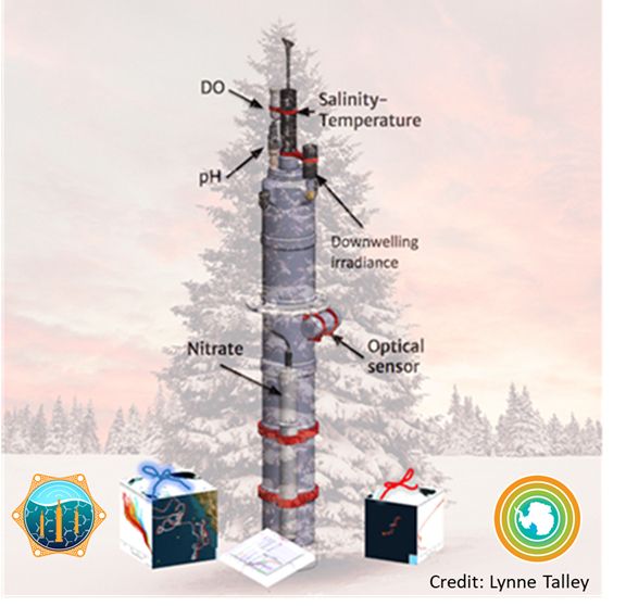 The SOCCOM & GO-BGC Christmas Tree. 