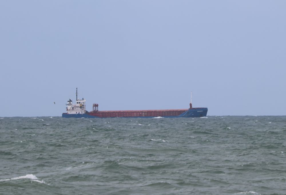 Fragtskibet 'Skagern' ses i horisonten. Blåt fragtskib fyldt med røde containere. 