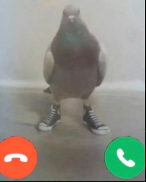 Comment image