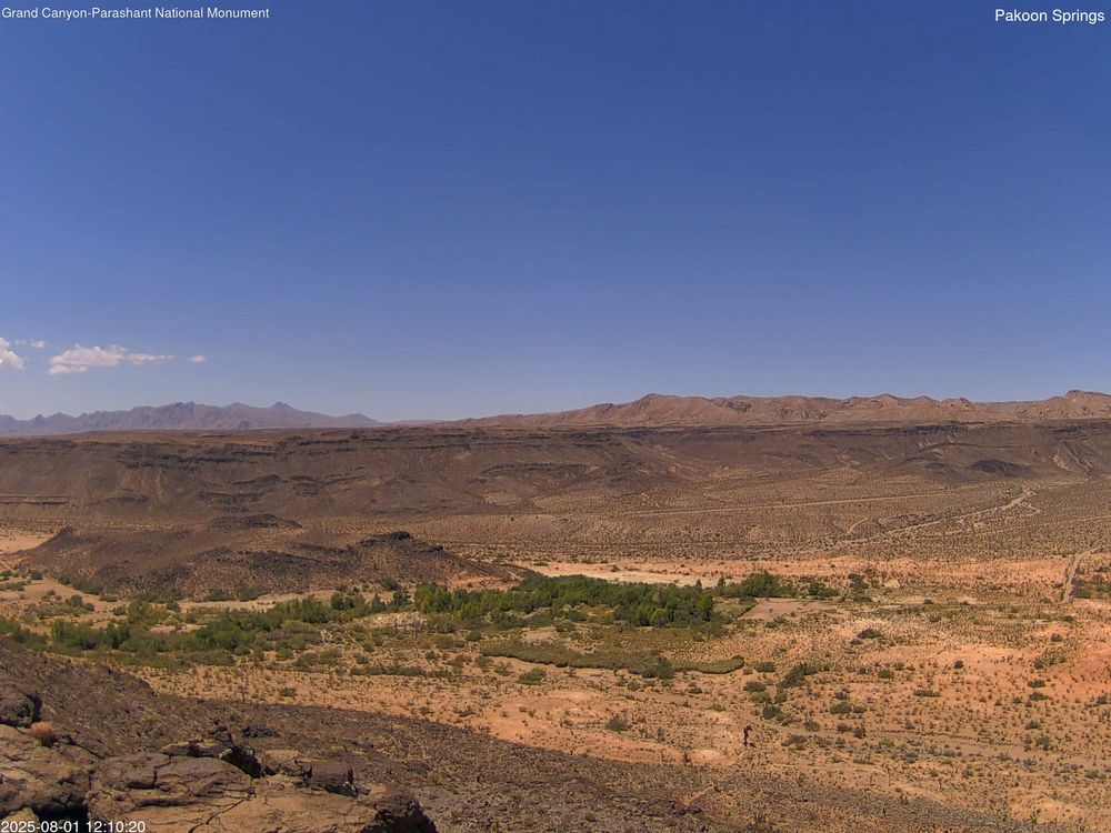 Elevation: 2,290 Feet
View of the Pakoon Basin looking west.
