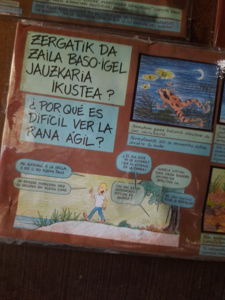 Imagen recortada de un panel informativo del bosque de Orgi (Lizaso, Navarra), conocida localidad con presencia de rana ágil, donde se ve una viñeta de un hombre acercándose a una charca mientras dos ranas lo observan de lejos. La viñeta dice "¿Por qué es difícil ver la rana ágil?"