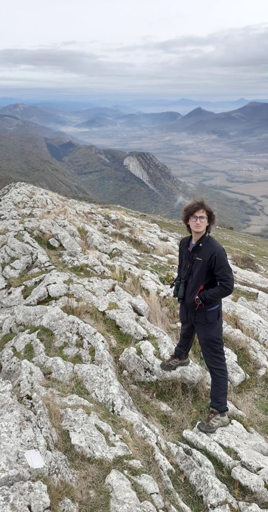 Arroba queerzalcoatlus, o como se escriba, adornando un paisaje navarro en una foto que va dura de pilotak