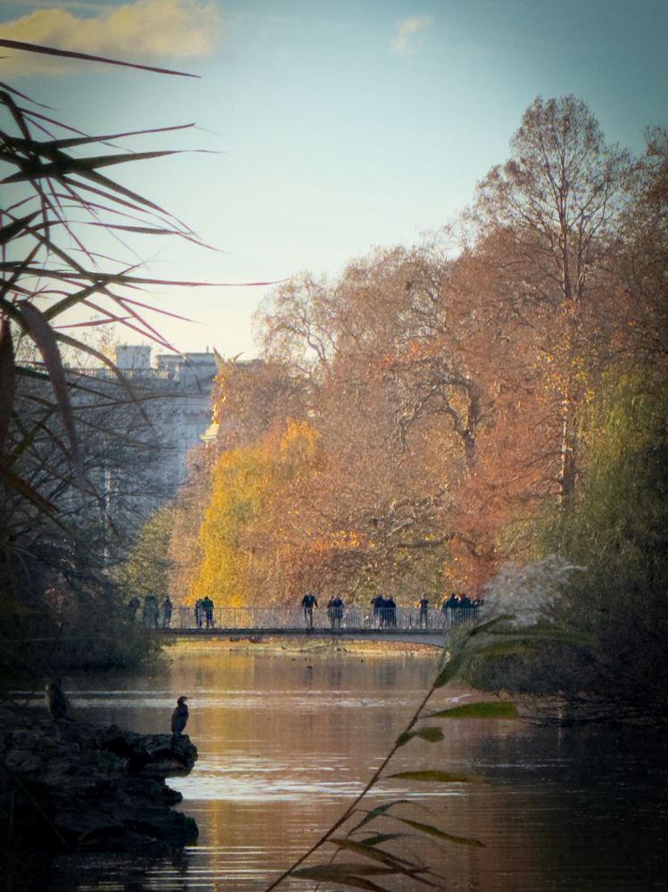 A long view down the lake, past a cormorant on a rocky outcrop, to the Blue Bridge, framed by trees with orange and yellow leaves.