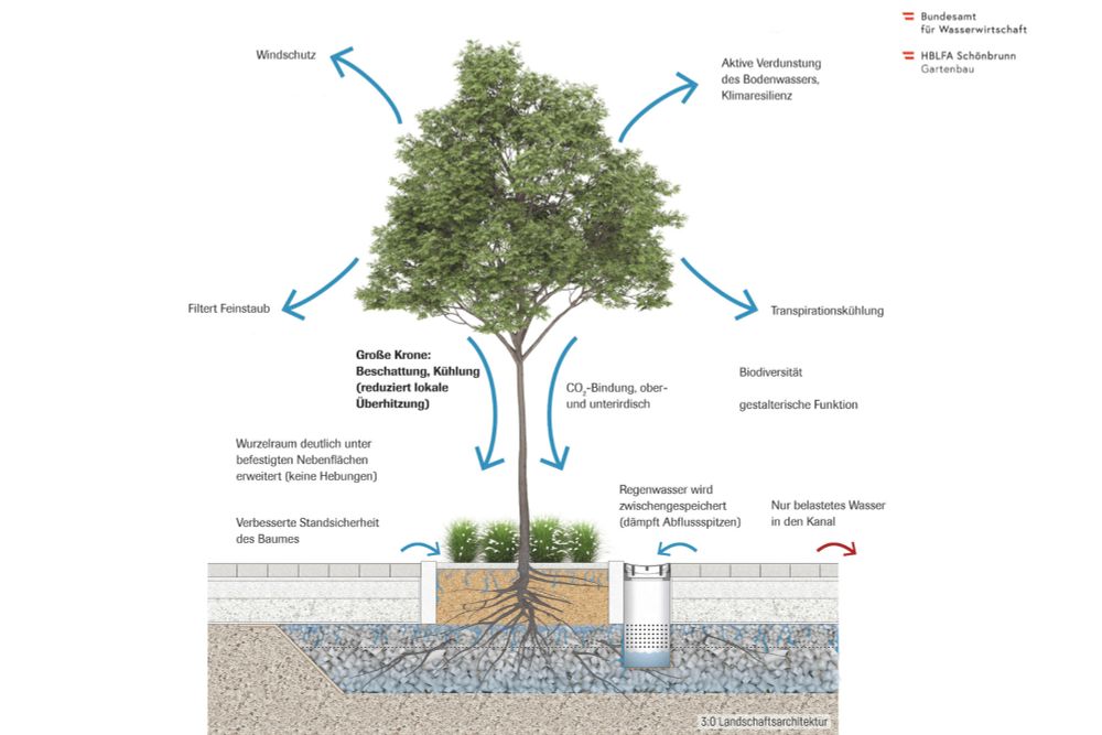 Klimafitte Städte: Wie das Schwammstadt-Prinzip urbane Überhitzung bekämpft.