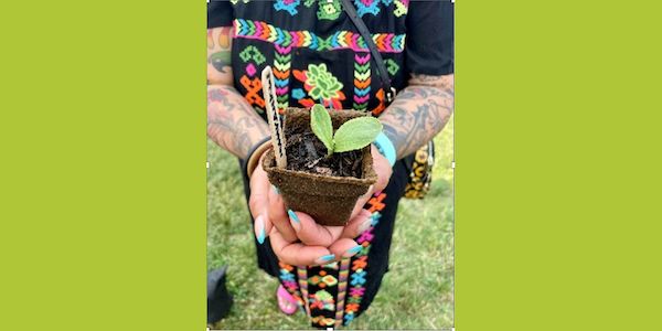 A person cradles a plant in their hand.
