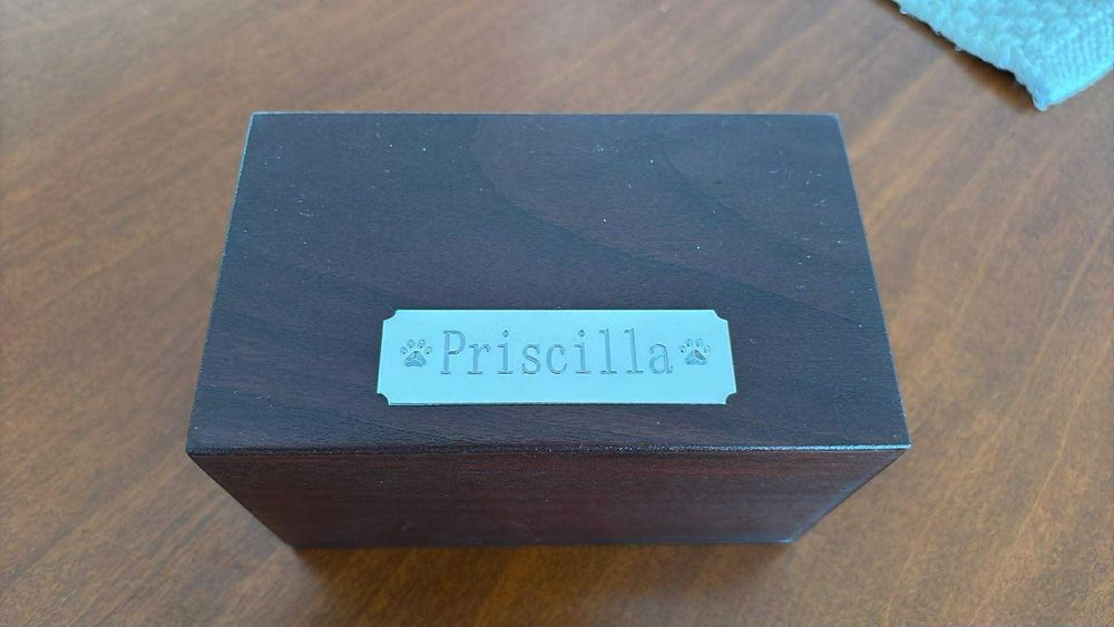 Priscilla’s ashes in a small dark wooden box, with her name engraved on a plaque on top
