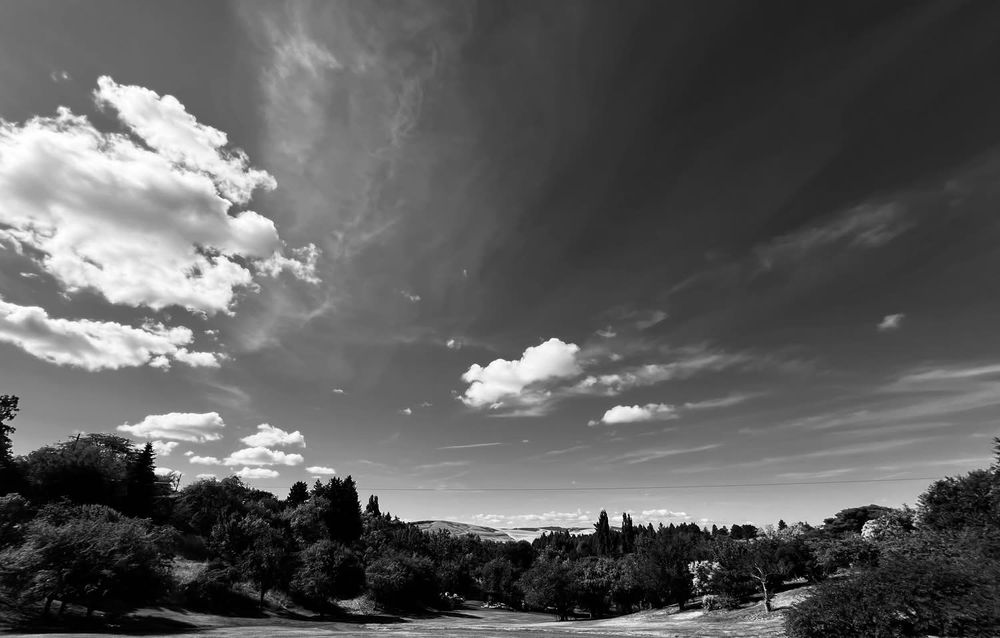 image of trees and clouds and sky in black and white noir tones