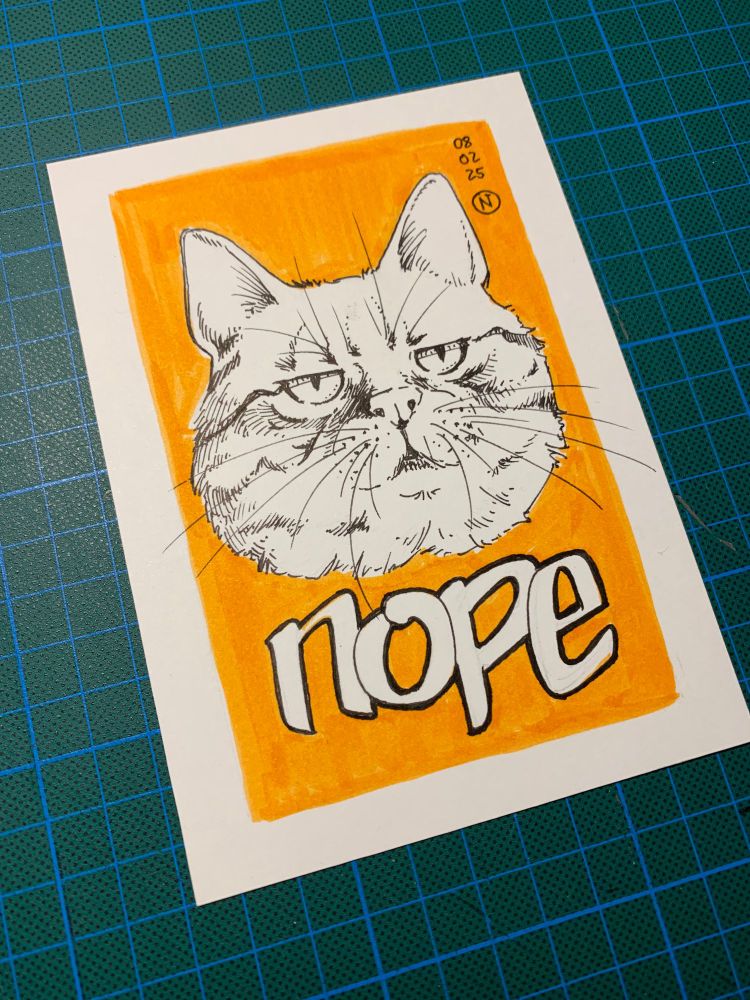 Photo of an illustration with black ink on an orange background. The illustration shows the head of a cat that has low eyelids, showing that they are not amused. Below the cat the word "nope" is written.