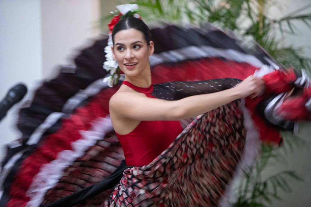 a person dancing with a large red and black dress