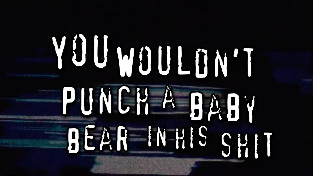 you wouldn't download a car but it says you wouldn't punch a baby bear in his shit